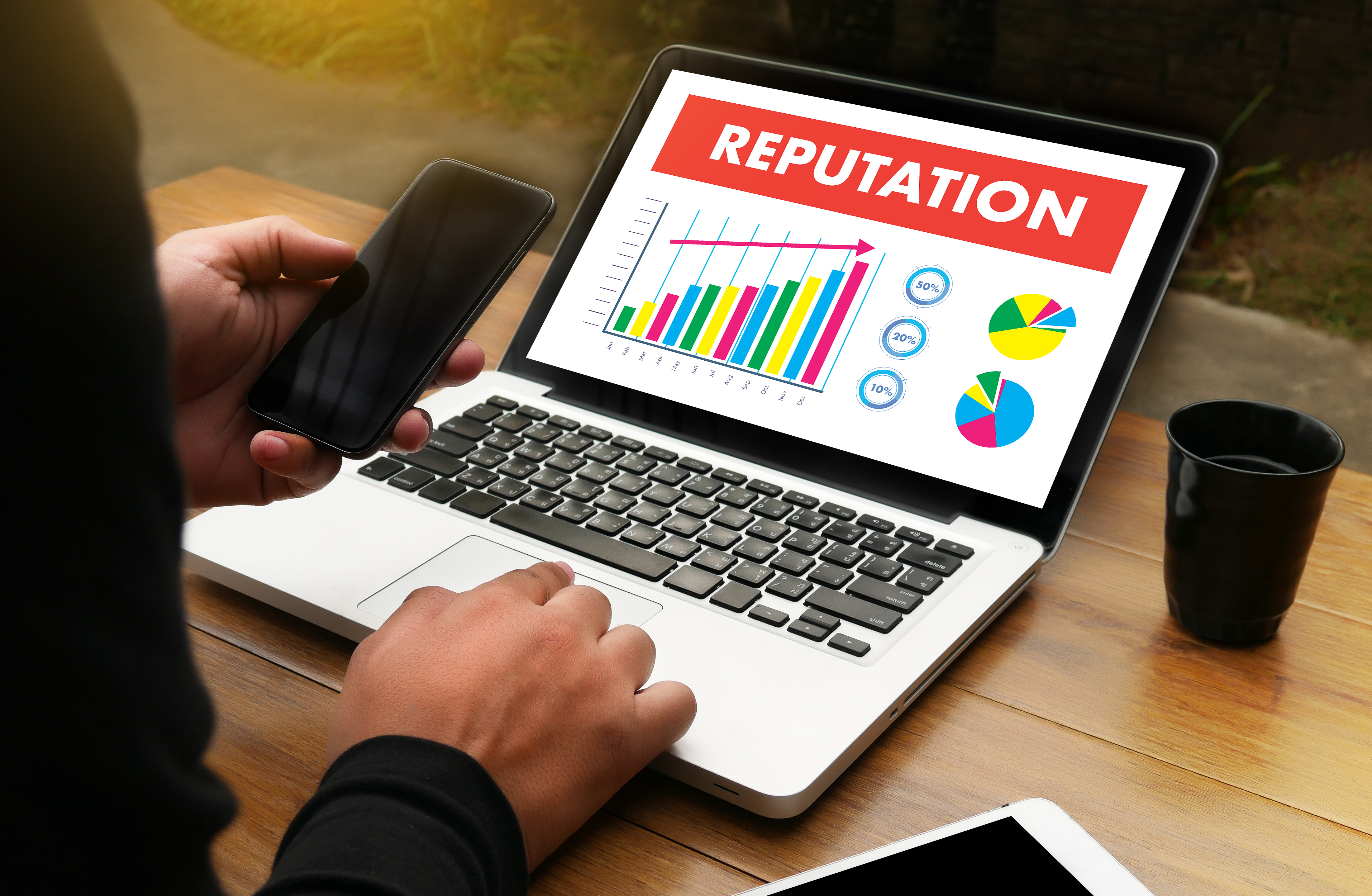  Online Reputation Mangement
